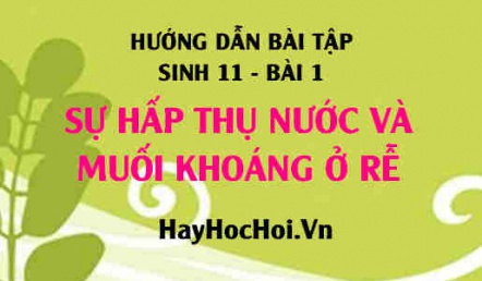 Câu hỏi và Bài tập Sinh 11 trang 9: Giải bài 1, 2, 3 trang 9 SGK Sinh học 11